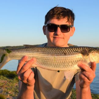 MEPPS MULLET CONVERSION, Mepps