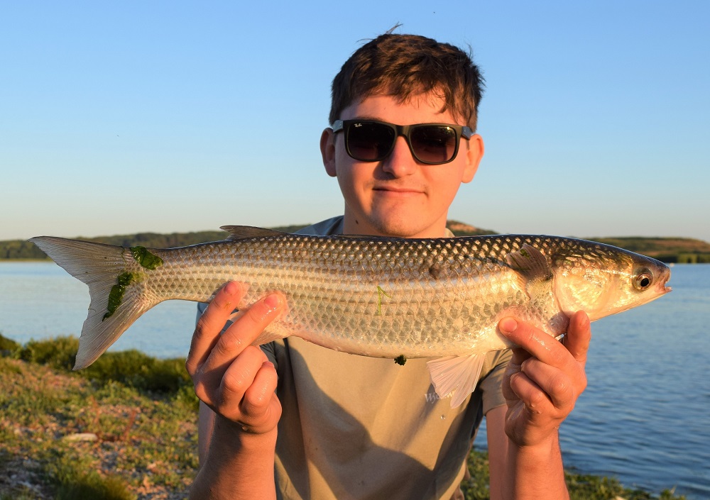 EskimoPL-5822_1.jpg MEPPS MULLET CONVERSION, Mepps