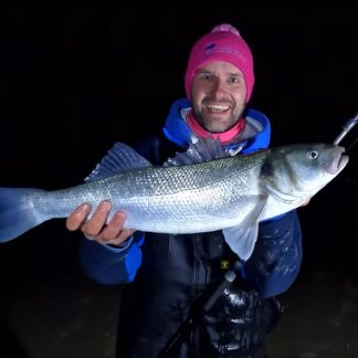 TOM'S BASS RIG, Toms Rigs